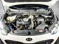 Kia Sportage Sportage*GT-Line*4WD*BI-LED*Panorama*Keyless GO* Weiß - thumbnail 37