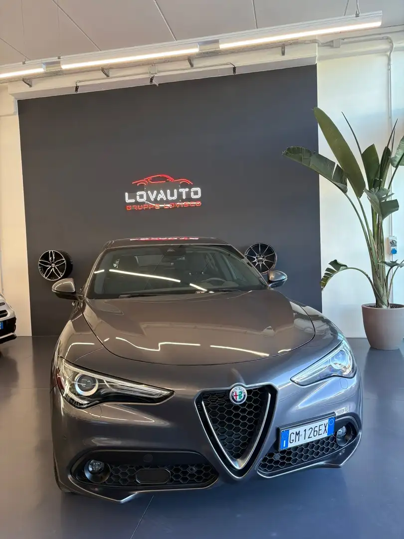 Alfa Romeo Stelvio Stelvio 2020 2.2 t Business rwd 160cv auto Gri - 1