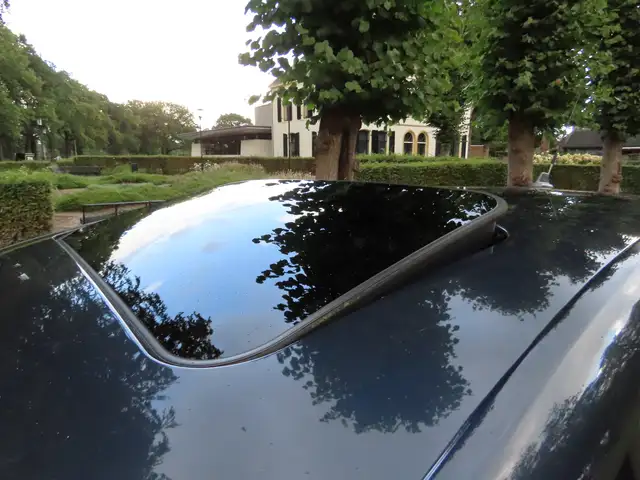 Volkswagen Golf Plus view 18