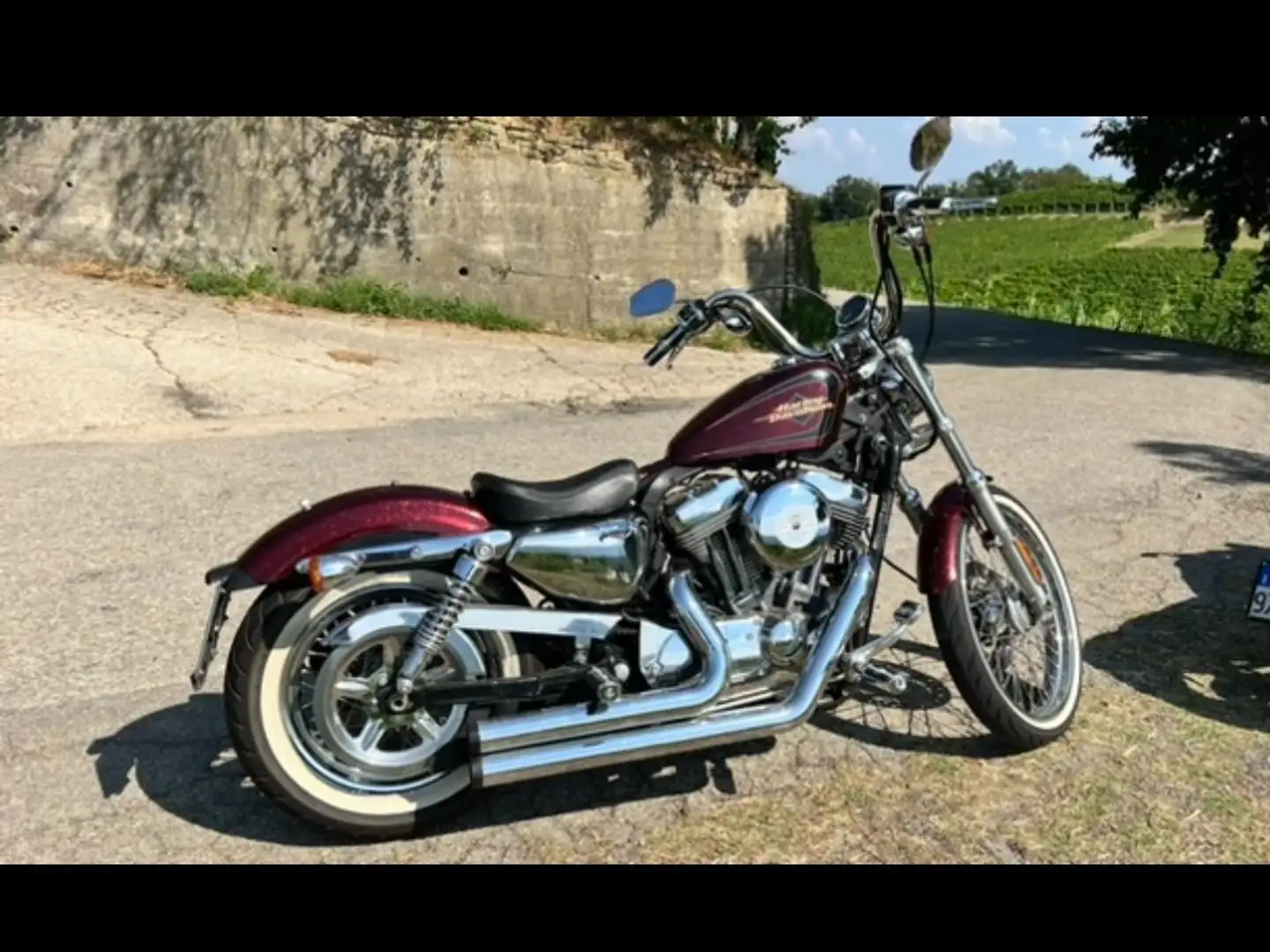 Harley-Davidson Sportster 1200 72 Fialová - 2