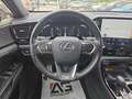Lexus NX 300 NX 450+2.5 phev  F Sport AWD cv 309 Schwarz - thumbnail 14