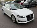 Audi A3 Cabriolet Ambition~ALCANTARA~EU5~KLIMA~XENON Blanc - thumbnail 1