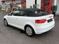 Audi A3 Cabriolet Ambition~ALCANTARA~EU5~KLIMA~XENON Blanc - thumbnail 8