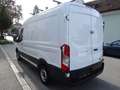 Ford Transit Transit Kasten 2,0 EcoBlue L2H2 290 Startup Weiß - thumbnail 5