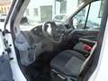 Ford Transit Transit Kasten 2,0 EcoBlue L2H2 290 Startup Weiß - thumbnail 7