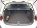Volkswagen Golf Variant Rabbit TSI Weiß - thumbnail 13