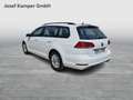 Volkswagen Golf Variant Rabbit TSI Weiß - thumbnail 3