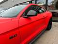 Ford Mustang 5.0 Ti-VCT V8 Fastback GT Rot - thumbnail 5