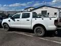 Ford Ranger XL Doppelkabine 4x4 Motorschaden! Wit - thumbnail 3