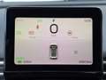 Dongfeng Box Launch Edition 42 kWh | 360° camera | Adaptieve cr Blanco - thumbnail 17