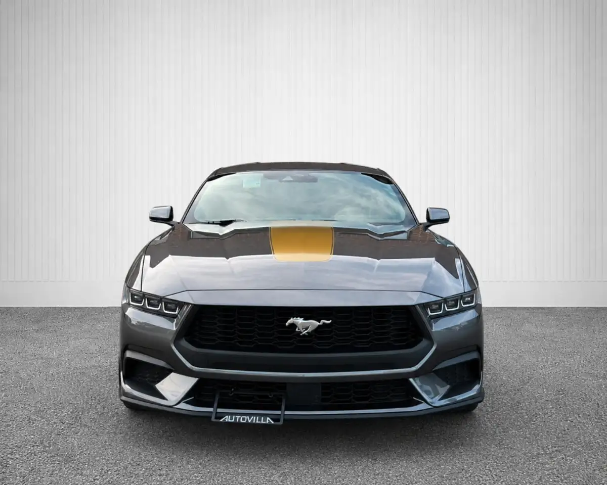 Ford Mustang fotografie Ford Mustang