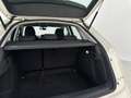 Audi Q3 2.0 TDI Business Plus Bianco - thumbnail 14