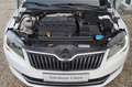 Skoda Superb 2,0 TDI DSG Ambition 2.HD*TÜV NEU Weiß - thumbnail 23