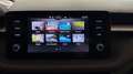 Skoda Fabia 1.0 mpi evo Ambition 80cv *PREZZO REALE* Bianco - thumbnail 21