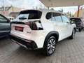 Suzuki S-Cross 1,4 Hybrid ALLGRIP flash Aut. Weiß - thumbnail 18