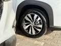 Suzuki S-Cross 1,4 Hybrid ALLGRIP flash Aut. Weiß - thumbnail 5