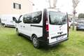 Nissan Primastar 2.0 dCi 110CV PC-TN Bus 9 Posti + IVA Alb - thumbnail 5