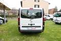 Nissan Primastar 2.0 dCi 110CV PC-TN Bus 9 Posti + IVA Alb - thumbnail 7