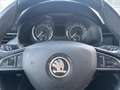 Skoda Kamiq Kamiq 1.0 TSI Ambition Weiß - thumbnail 17
