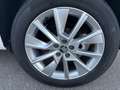 Skoda Kamiq Kamiq 1.0 TSI Ambition Weiß - thumbnail 6