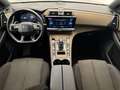 DS Automobiles DS 7 Crossback 1.6 PureTech Bastille Aut. GPS Camera Dig.Airco Al Сірий - thumbnail 6