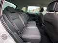Volkswagen Tiguan Active ACC/PDC/LED/Assistenz/Ambiente/Shz Weiß - thumbnail 14