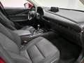 Mazda CX-30 2.0 Skyactiv-G Evolution 2WD 90kW Rojo - thumbnail 17