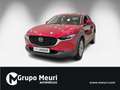 Mazda CX-30 2.0 Skyactiv-G Evolution 2WD 90kW Rojo - thumbnail 21