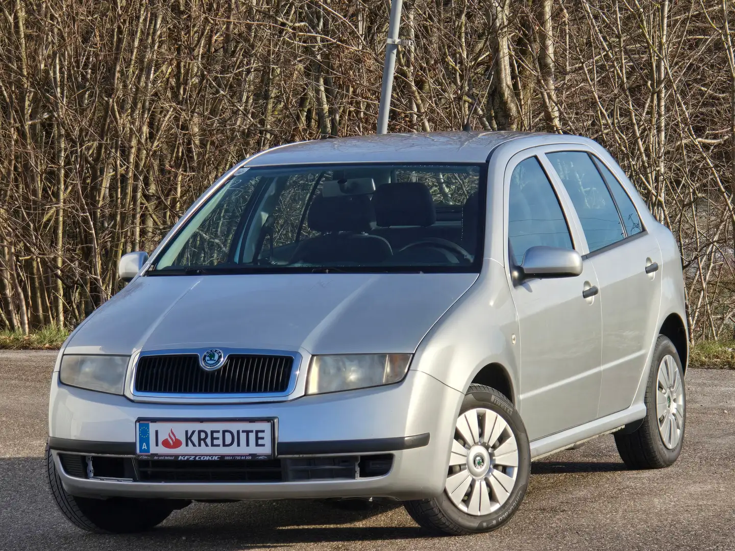Skoda Fabia Classic Top* Kredit* Klima* Wenig KM* Gepflegt* Grau - 1