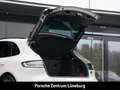 Porsche Macan GTS Standheizung BOSE Luftfederung 21-Zoll Blanco - thumbnail 18