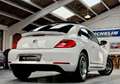 Volkswagen Coccinelle Cup 1.2 TSI 105 ch Toit ouvrant, Régulateur, Bluetooth Carnet et historique État exceptionnel Blanco - thumbnail 2