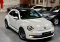 Volkswagen Coccinelle Cup 1.2 TSI 105 ch Toit ouvrant, Régulateur, Bluetooth Carnet et historique État exceptionnel Blanco - thumbnail 3