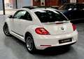 Volkswagen Coccinelle Cup 1.2 TSI 105 ch Toit ouvrant, Régulateur, Bluetooth Carnet et historique État exceptionnel Blanco - thumbnail 4