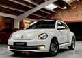 Volkswagen Coccinelle Cup 1.2 TSI 105 ch Toit ouvrant, Régulateur, Bluetooth Carnet et historique État exceptionnel Blanco - thumbnail 1