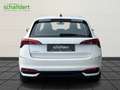 Skoda Scala 1.0 TSI Essence Neues Modell 2024 Sofort lieferb Weiß - thumbnail 3