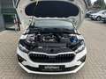 Skoda Scala 1.0 TSI Essence Neues Modell 2024 Sofort lieferb Weiß - thumbnail 15