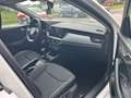 Skoda Scala 1.0 TSI Essence Neues Modell 2024 Sofort lieferb Weiß - thumbnail 7