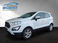 Ford EcoSport *Trend* I PRIVAT-VERKAUF I Weiß - thumbnail 1