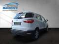 Ford EcoSport *Trend* I PRIVAT-VERKAUF I Weiß - thumbnail 4