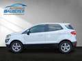 Ford EcoSport *Trend* I PRIVAT-VERKAUF I Weiß - thumbnail 2