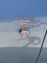 BMW 318 318d 48 V Touring Aut. Grau - thumbnail 11