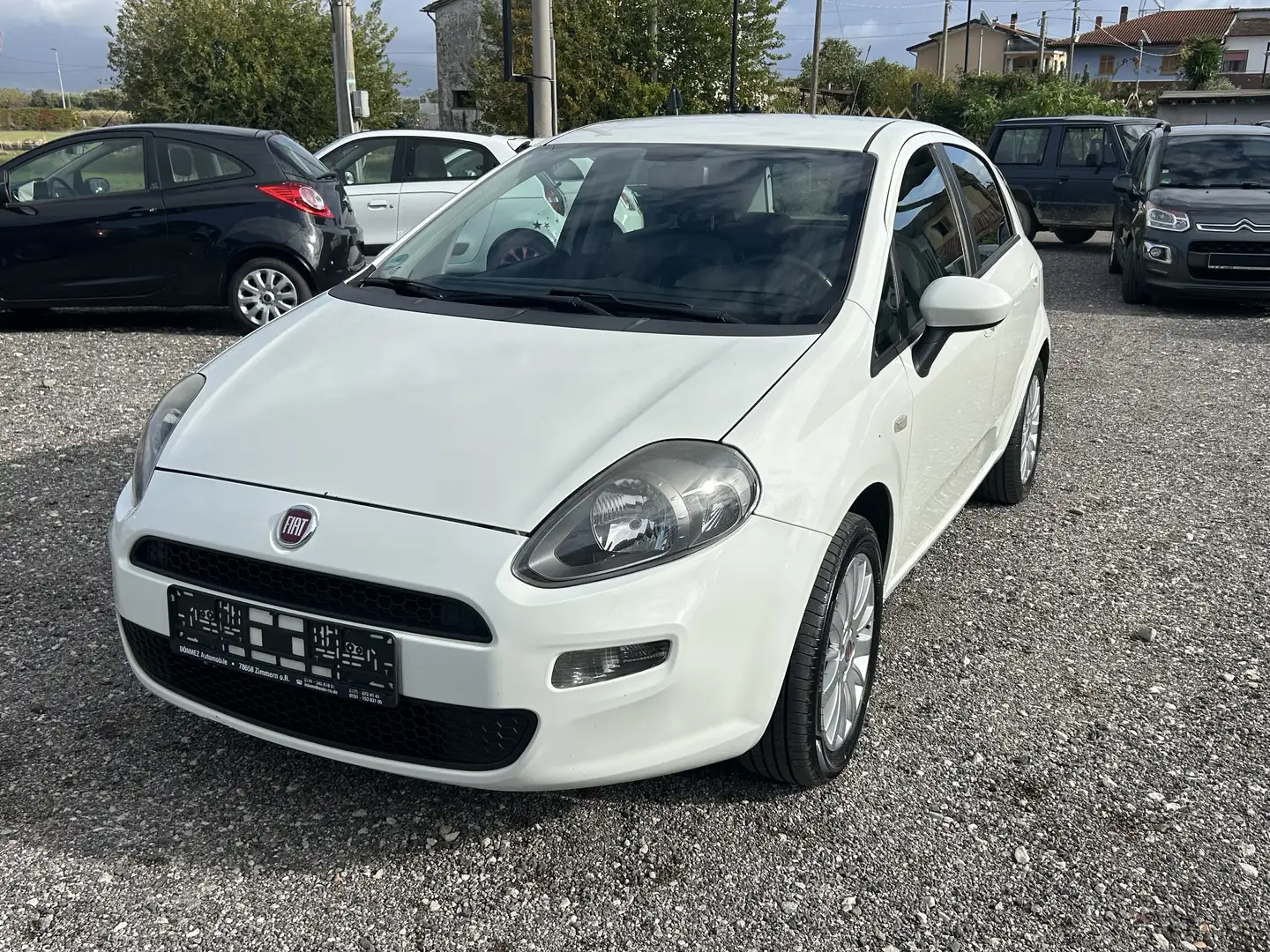 Fiat Punto Evo 5p 1.2 MyLife - 1