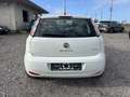 Fiat Punto Evo 5p 1.2 MyLife - thumbnail 5