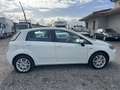 Fiat Punto Evo 5p 1.2 MyLife - thumbnail 3