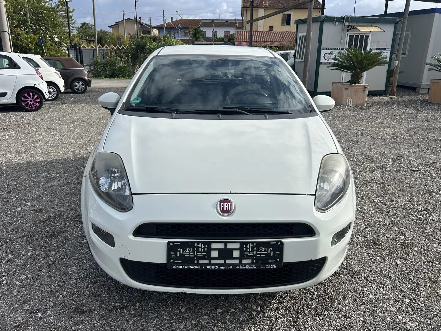 Fiat Punto Evo 5p 1.2 MyLife - 2