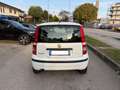 Fiat Panda 1.3 MJT 16V DPF Dynamic NEOPATENTATI Bianco - thumbnail 5