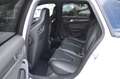 Audi RS4 Avant 4.2 FSI quattro Keramik*Schallensitze Blanco - thumbnail 13