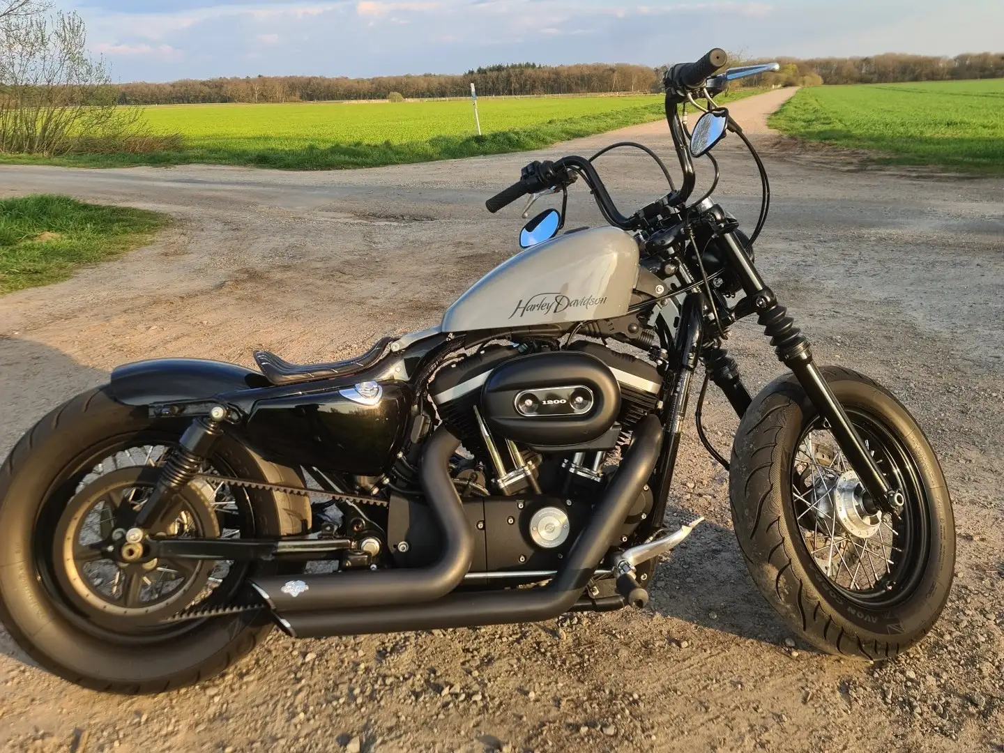 Harley-Davidson Sportster 1200 Grau - 1