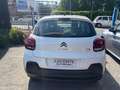 Citroen C3 1.2 puretech Shine Pack s Bianco - thumbnail 5