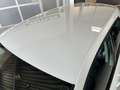 Volkswagen Golf 1.4 TSI LOUNGE R-Line *SHZ*PDC*Klima*Tempo* Wit - thumbnail 8